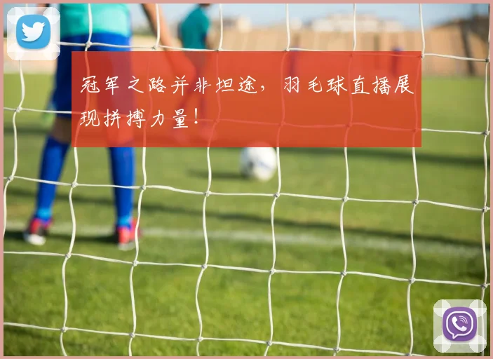 冠军之路并非坦途，羽毛球直播展现拼搏力量！