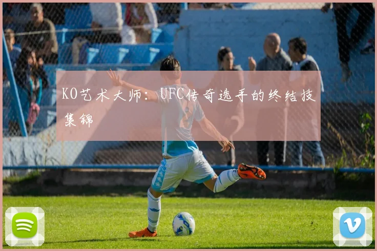 KO艺术大师:UFC传奇选手的终结技集锦