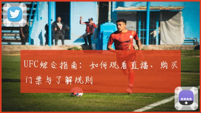 UFC综合指南:如何观看直播、购买门票与了解规则