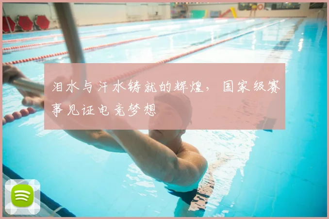 泪水与汗水铸就的辉煌,国家级赛事见证电竞梦想