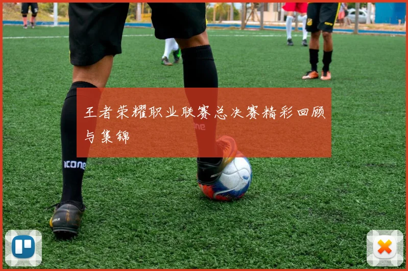 王者荣耀职业联赛总决赛精彩回顾与集锦