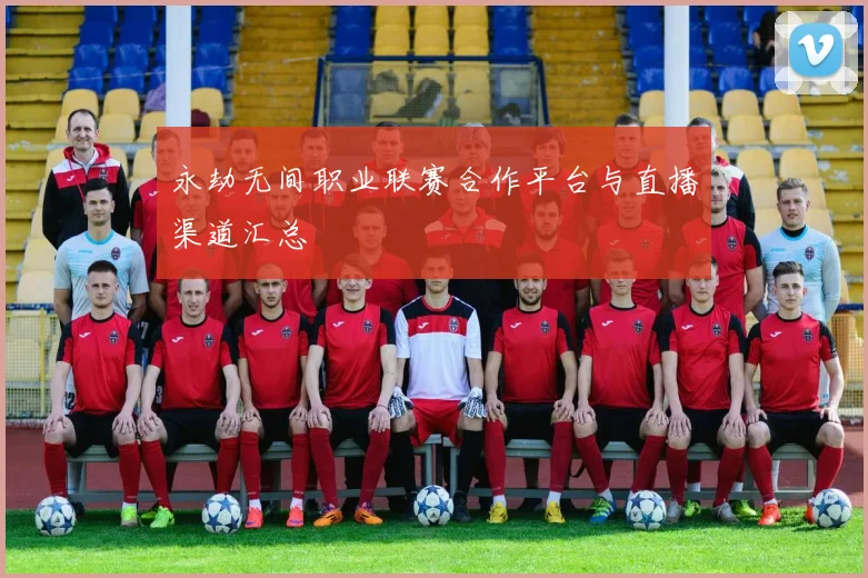 永劫无间职业联赛合作平台与直播渠道汇总