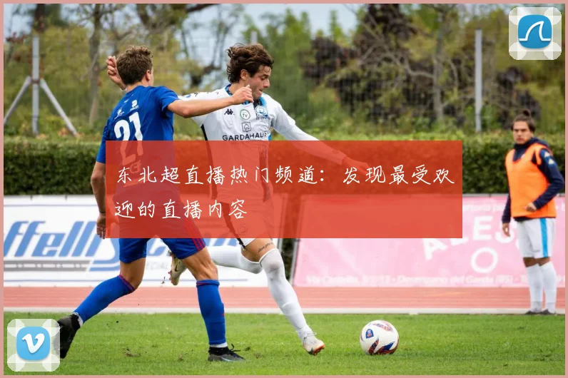 东北超直播热门频道：发现最受欢迎的直播内容