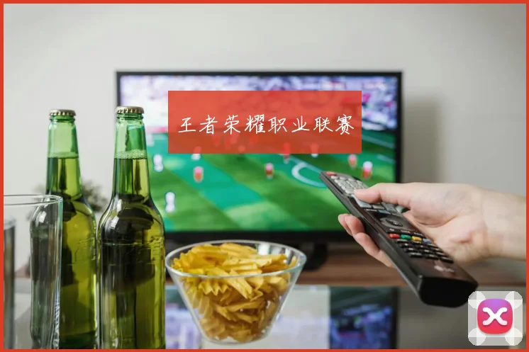 王者荣耀职业联赛