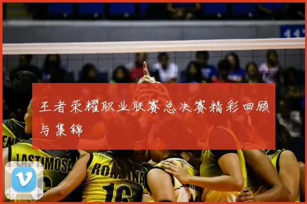 王者荣耀职业联赛总决赛精彩回顾与集锦