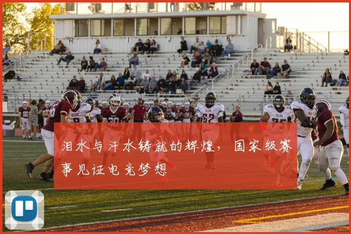 泪水与汗水铸就的辉煌，国家级赛事见证电竞梦想